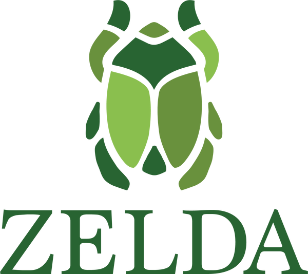 ZELDA